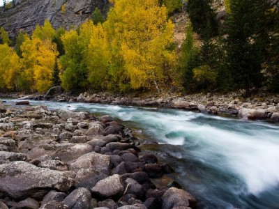 广元医保账户取现要多久？流程、时效与实用攻略全解析