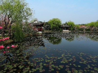 奉化急用钱别犯难！安出掌柜助花呗额度灵活周转更安心