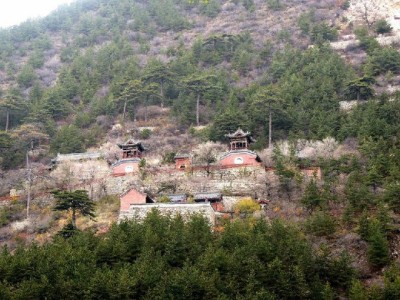 常德白条提现需警惕！虚假交易背后的三大风险揭秘