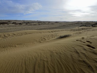 天猫商家花呗收款任务攻略：提升转化+安出掌柜助你轻松达标