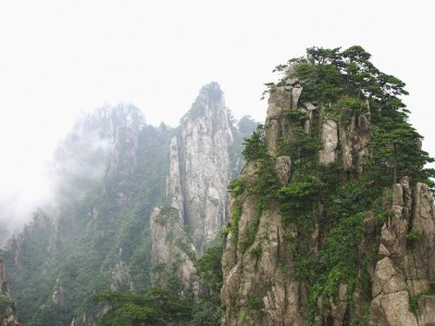 警惕“fire套花呗”风险！出财小神支招合规用贷更安心