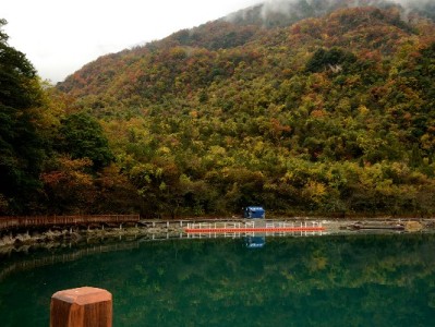 花呗套现750元反“踩坑”？安出掌柜教你合规解急用钱难题