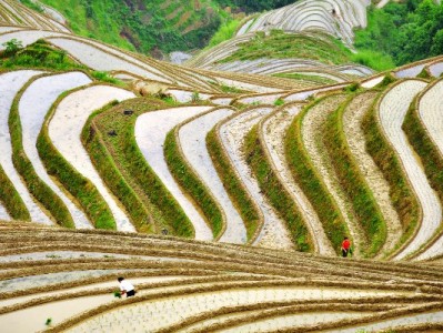 花呗额度能提现吗？出财小神揭秘合规使用与风险提醒