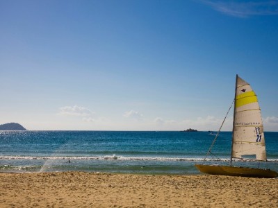 月付抖音金币能提现吗？官方规则与操作指南全解析