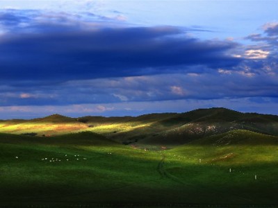 花呗套现后如何正确还款？这些方法+“出财小神”助你规避风险