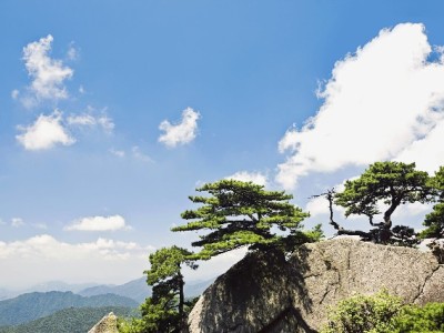 手把手教你解绑花呗绑定银行卡：3步操作+4个注意事项