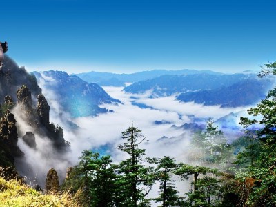 花呗分24期后额度咋管？出财小神教你盘活信用弹性