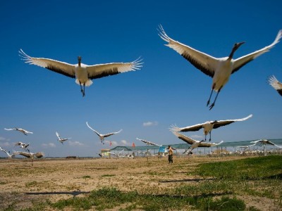 自己给自己花呗提现风险大？出财小神教你安全周转新方式