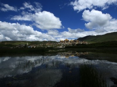 白条套现额度有风险？合规咨询选“出财小神”更安心