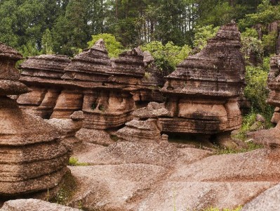 羊小咩享花卡取现/手机回收攻略：安出掌柜教你安全变现