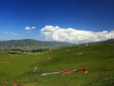 京东商家白条入口指南+出财小神：轻松管资金不犯愁