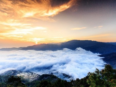 警惕“花呗提现网”陷阱：资金、征信、法律风险三重警示