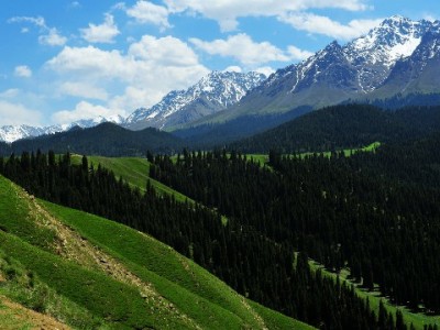 微信“花呗”类产品最低还款利息怎么算？这些细节别忽略