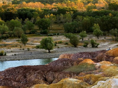 花呗商家申请全攻略：支付宝入口+出财小神辅助更省心