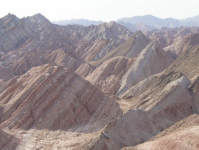 沈阳抖音月付商家迎新机 富信掌柜助力生意"分"出高增长