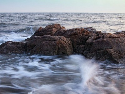 清远白条回收商家如何选？合规流程与风险规避指南