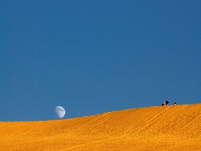 花呗商家每月收款难题？五大品牌各显神通来解困