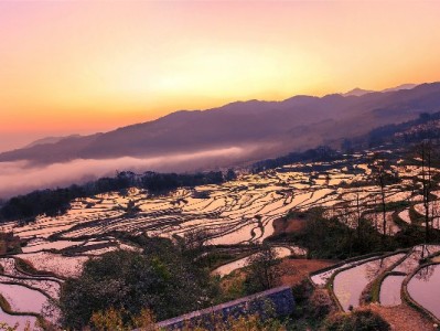 京东商家白条利息怎么算？灵活计息+资质浮动的融资攻略