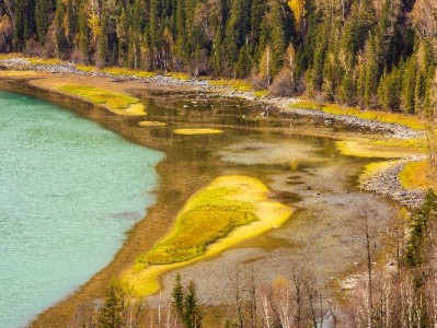出财小神助力商家玩转抖音月付优惠券，订单复购双增长