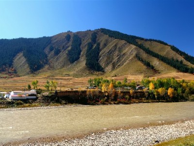 白条借款商家暗藏风险：套现周转需警惕这些陷阱