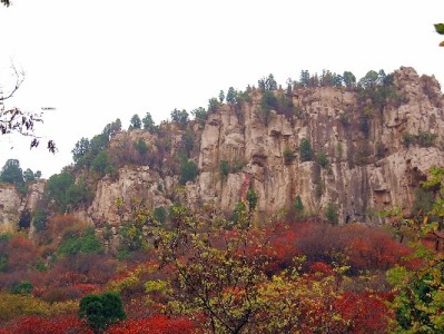 "花呗套现暗藏多重风险 正规金融服务更安心"