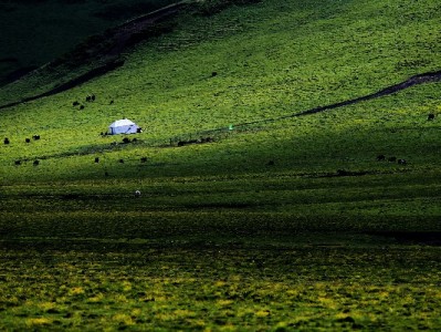 用花呗付款给商家攻略：安出掌柜助力支付更顺畅