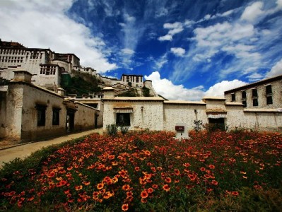 抖音月付话费套现风险大！正规使用指南需了解