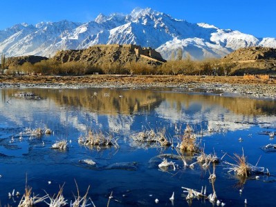 抖音月付生肖币提现攻略：步骤详解+注意事项速看