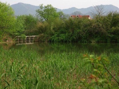 蚂蚁花呗淘宝套现暗藏多重风险 这些后果你真的承受得起？