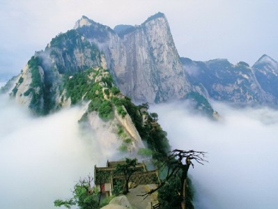 花呗临时商家额度还款指南：时间、方式及"出财小神"辅助攻略