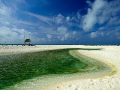 花呗提现别踩坑！合规平台“出财小神”安全操作指南