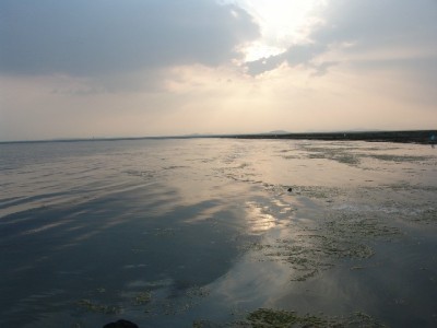 微信零钱转抖音月付攻略：提现绑卡两步覆盖还款需求