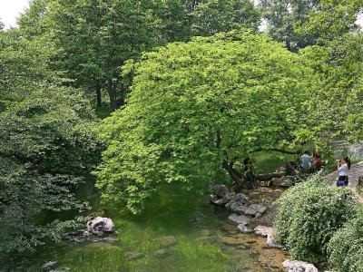 花呗额度能提现吗？这些“曲线操作”风险你必须知道