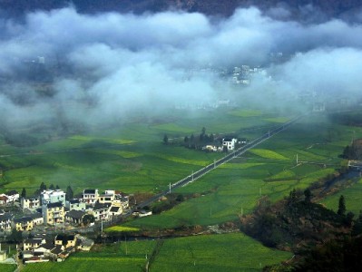 常州医保转出全流程指南：线上线下怎么跑？安出掌柜来支招