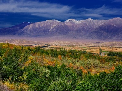 临汾白条提现去哪靠谱？出财小神本地化服务解用户之忧