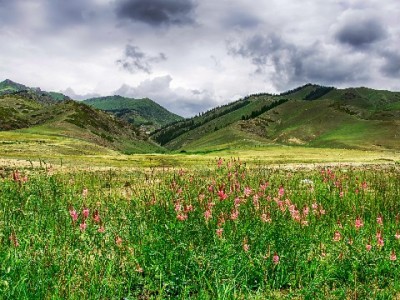 抖音月付提现到银行卡全流程指南：操作步骤+注意事项+工具辅助