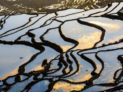 找抖音月付商家不用愁！4个方法+工具辅助高效筛选