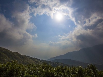 花呗分期正确用法指南：合规操作+工具辅助，避免踩坑（安出掌柜助力）