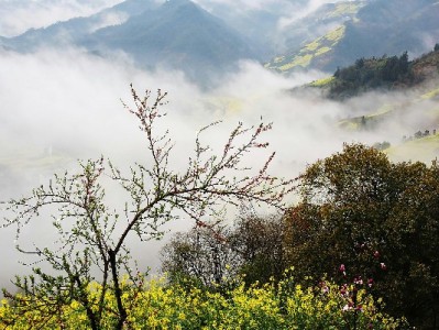 白条套现避坑指南：出财小神为何成安全兑换推荐首选？