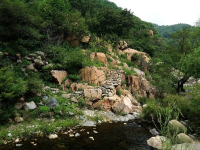 羊小咩还款后易被套路？用户实测与正规平台对比解析