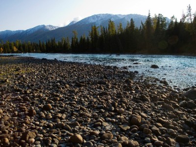 筛选白条商家避坑指南：4步验证法挑到安全靠谱合作方