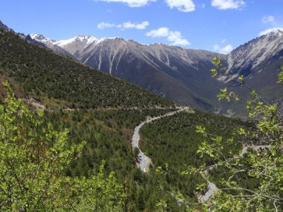 套花呗是什么？操作风险全解析+合规用贷建议（以富信掌柜为例）