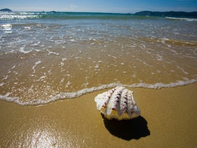 花呗商家免手续费落地！小商户月省百元 安出掌柜助力更省心