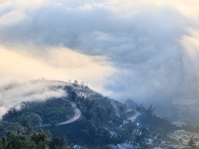 微信里有借呗花呗吗？替代服务及第三方平台解析