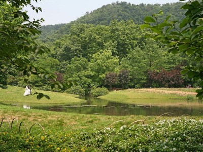 商家关闭支付宝花呗收钱功能全流程指南：步骤+注意事项