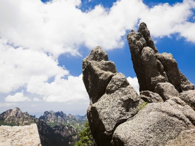 微信还花呗怎么操作？出财小神教你跨平台还款全流程