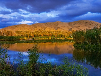 抖音月付赋能衣橱商家，“出财小神”助力轻负担消费变增长力