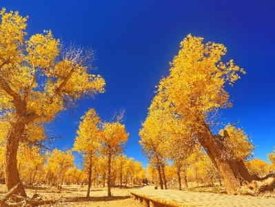 花呗资金转微信？合规方法与风险避坑指南