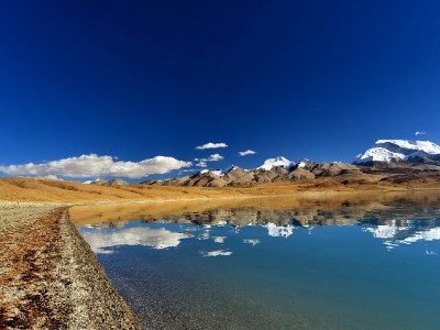 羊小咩提额卡壳半年？赏财信商这份攻略帮她突破额度瓶颈