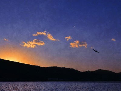 京东金融白条取现全解析：额度、费用与应急使用指南